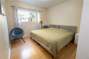 9551 Via Ricardo - Photo 1 of 1