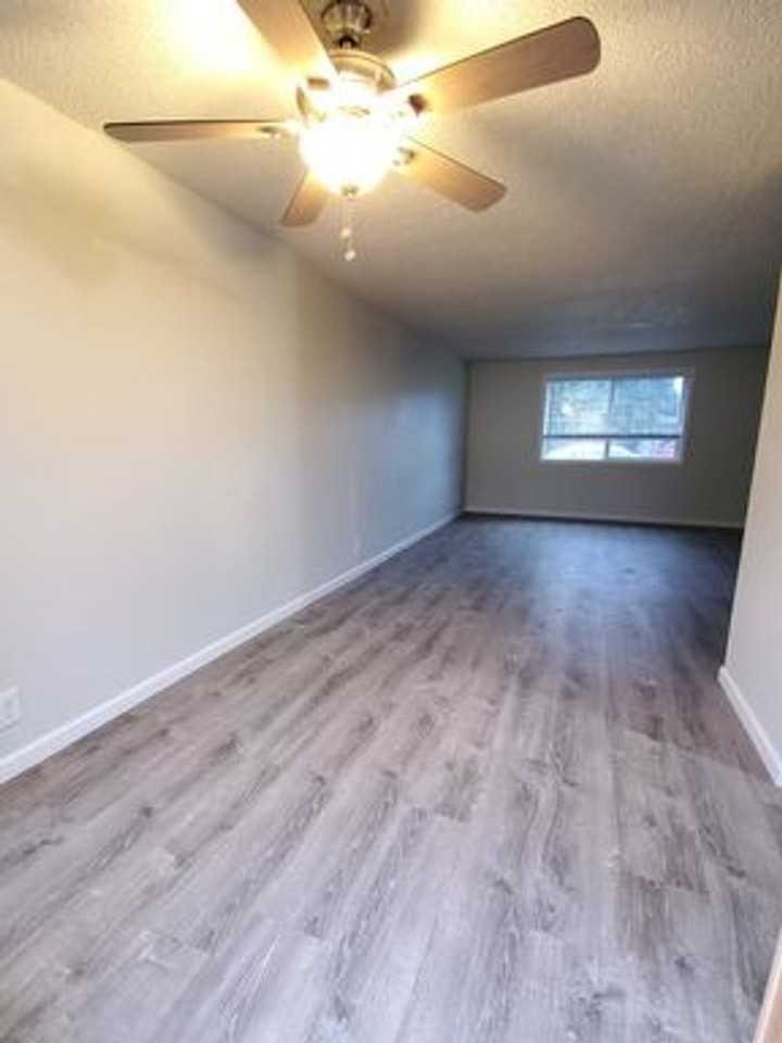 4405 Sean Street - Photo 5 of 19
