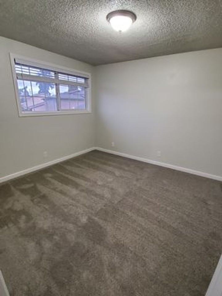 4405 Sean Street - Photo 6 of 19