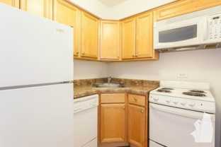 6725 North Sheridan Road #203 - Photo 1 of 1