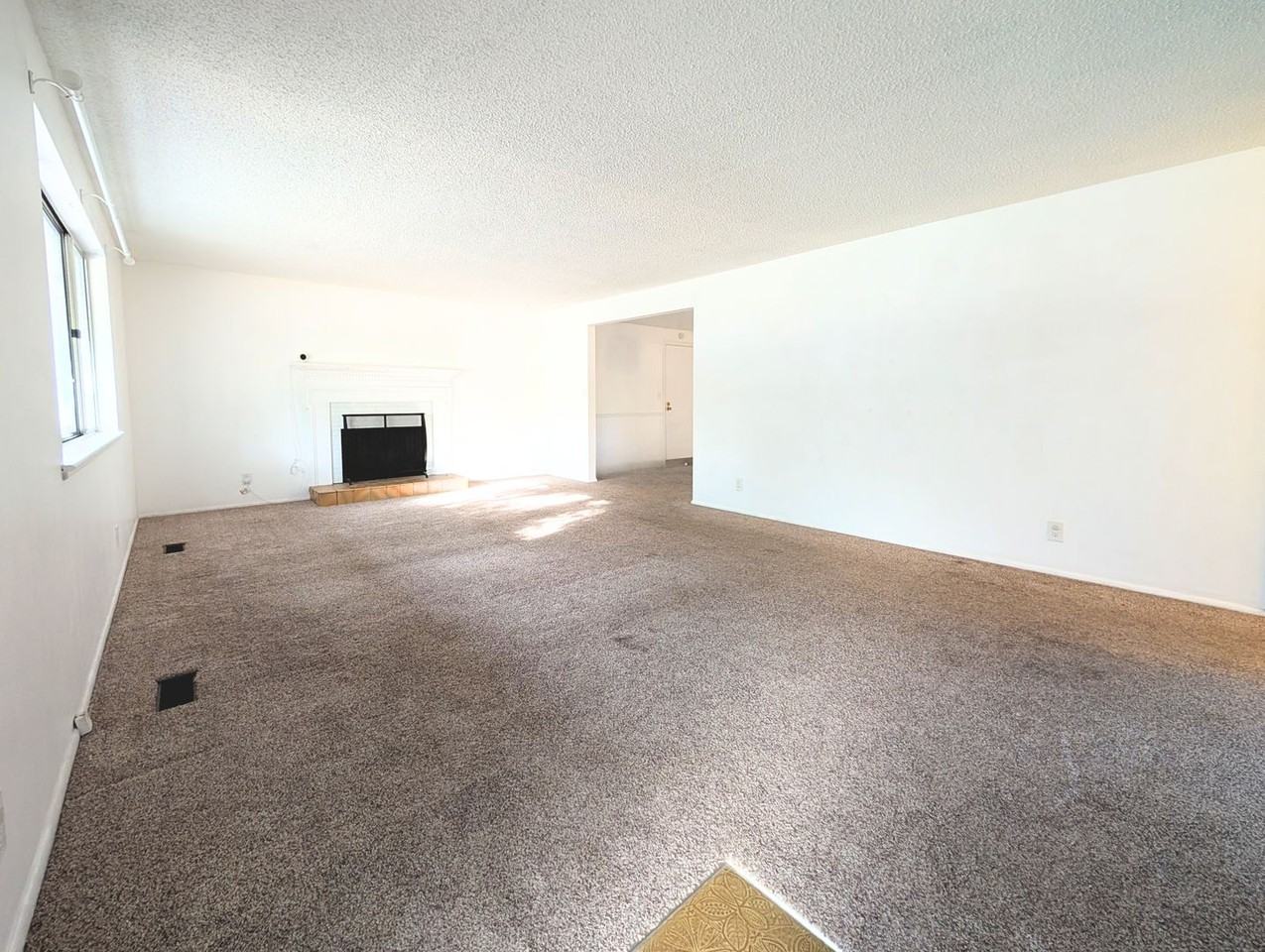 4160 N Maple Grove Rd - Photo 4 of 22