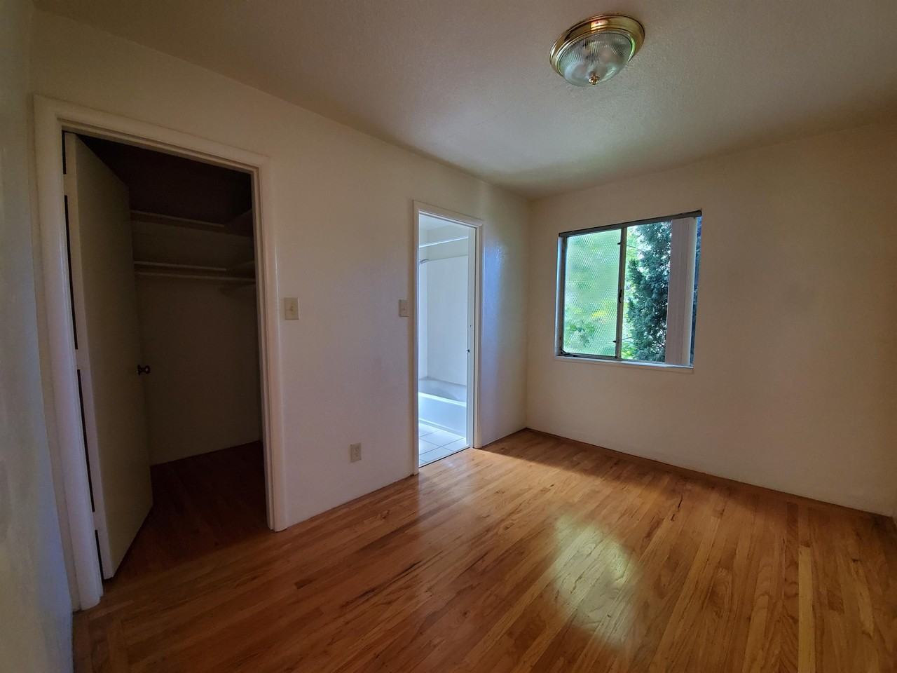 Isle of Dwight - Photo 2 of 29