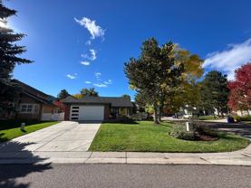 1 Bellflower - Photo 1 of 1