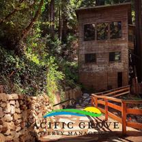 37409 Palo Colorado Road - Photo 1 of 1