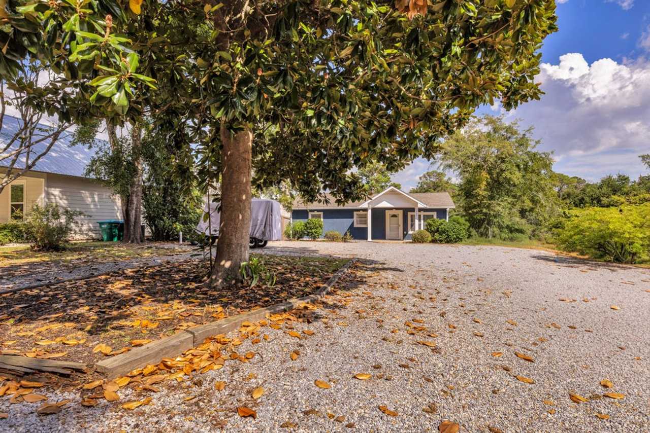 320 Magnolia Avenue - Photo 5 of 44