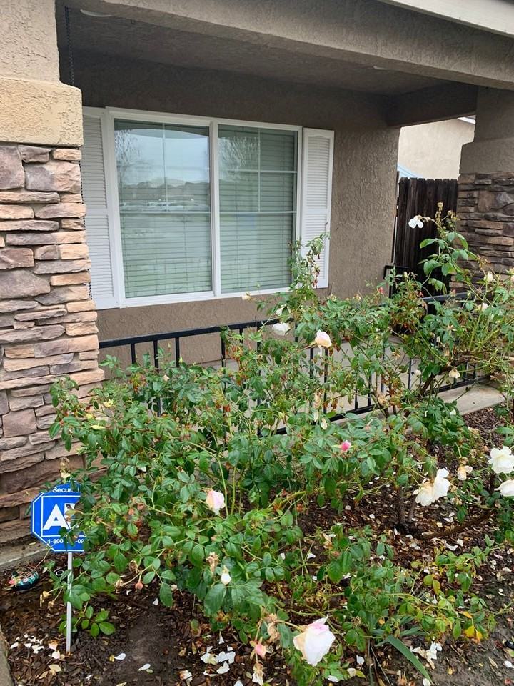 2443 Ranier Way - Photo 3 of 22