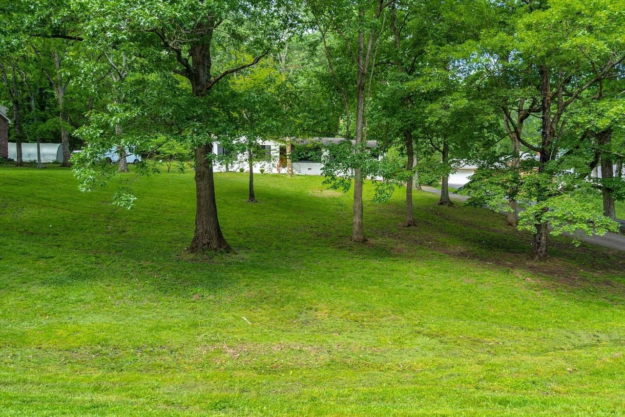 703 Clematis Drive - Photo 2 of 45