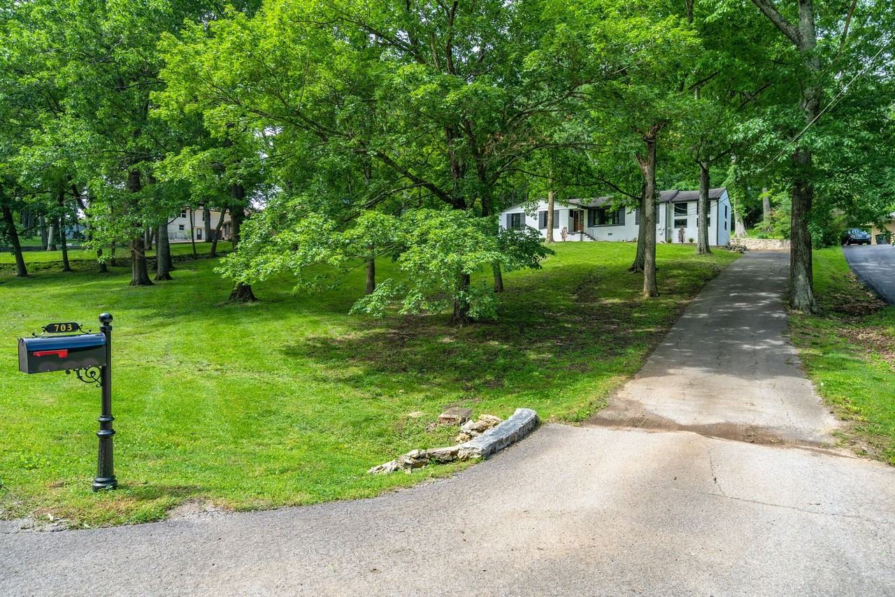 703 Clematis Drive - Photo 3 of 45