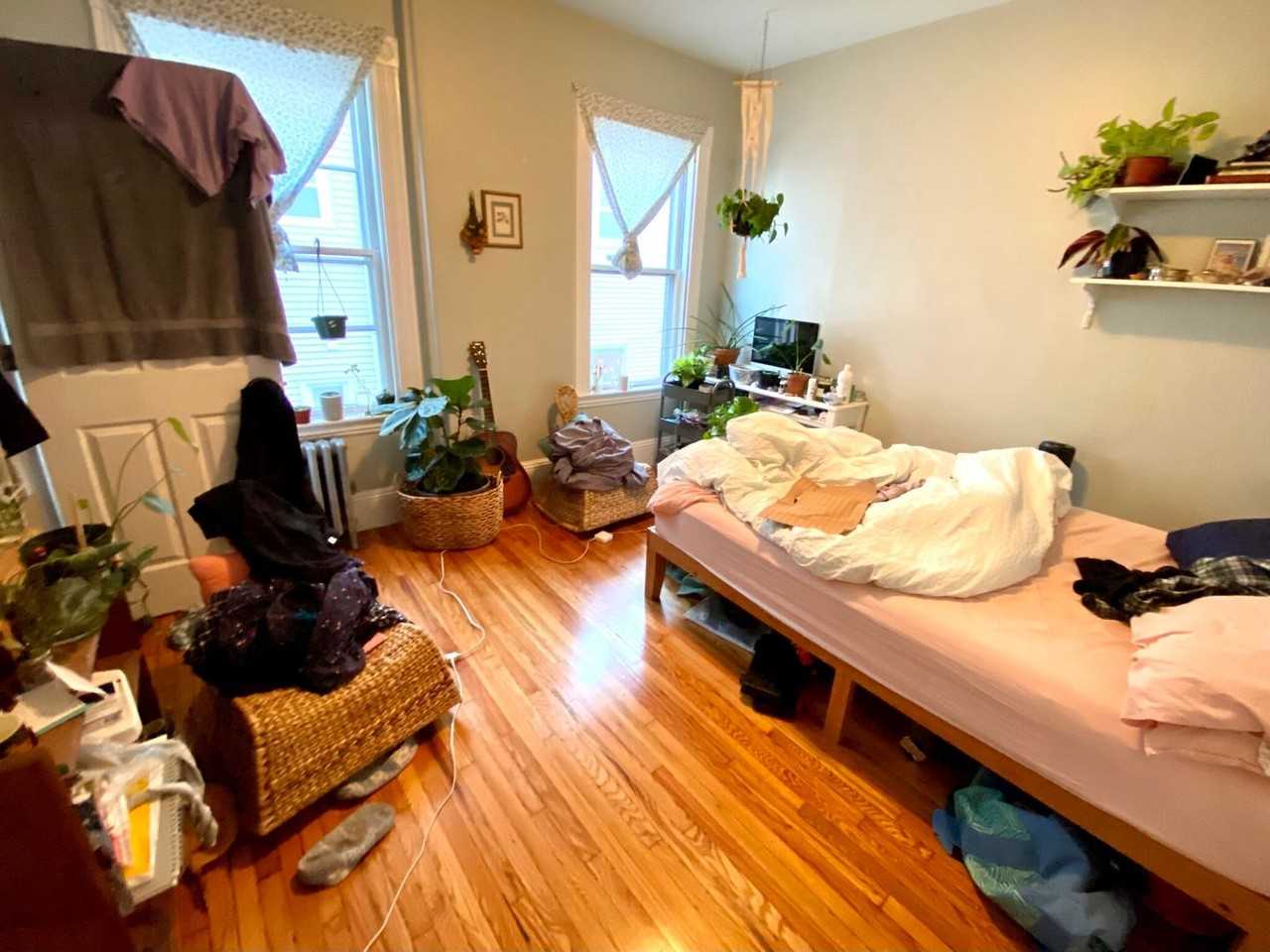 4 Oswald Street - Photo 7 of 22