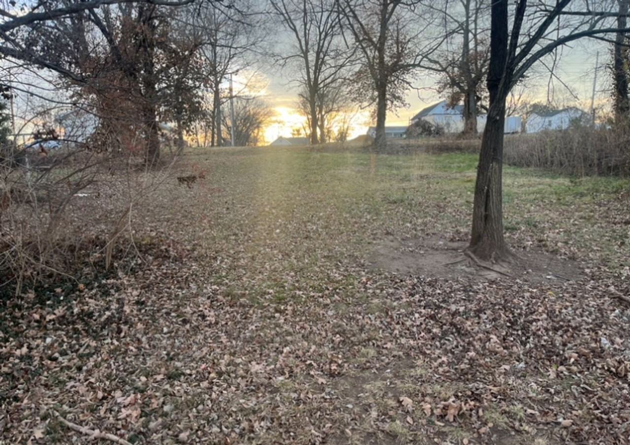 303 Cardinal St - Photo 3 of 13