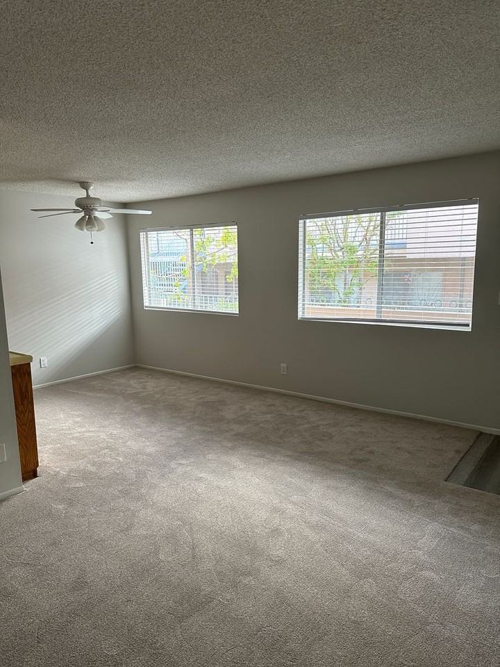 Corsican Apartments - Photo 2 of 24