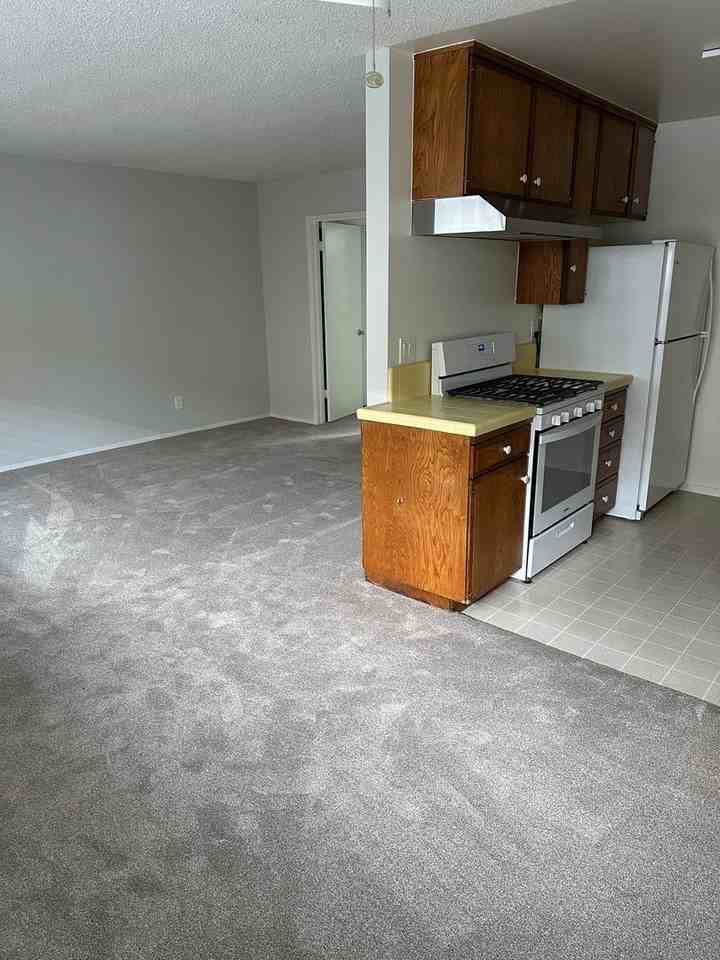 Corsican Apartments - Photo 3 of 24