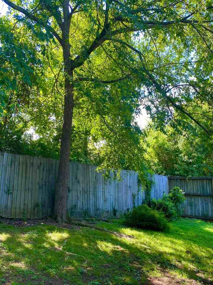 2300 Oakland Drive Northwest - Photo 7 of 8