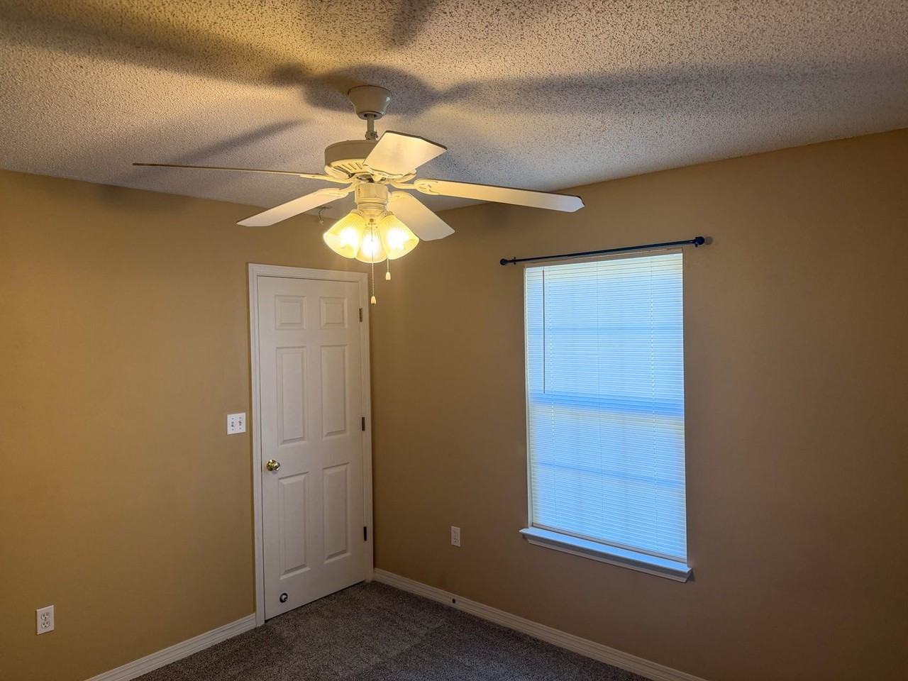 116 Lonnie Jack Drive - Photo 3 of 14