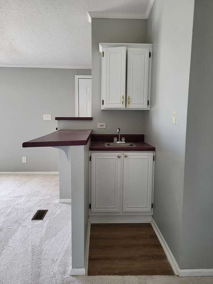 1050 Isenhour Ct - Photo 4 of 13