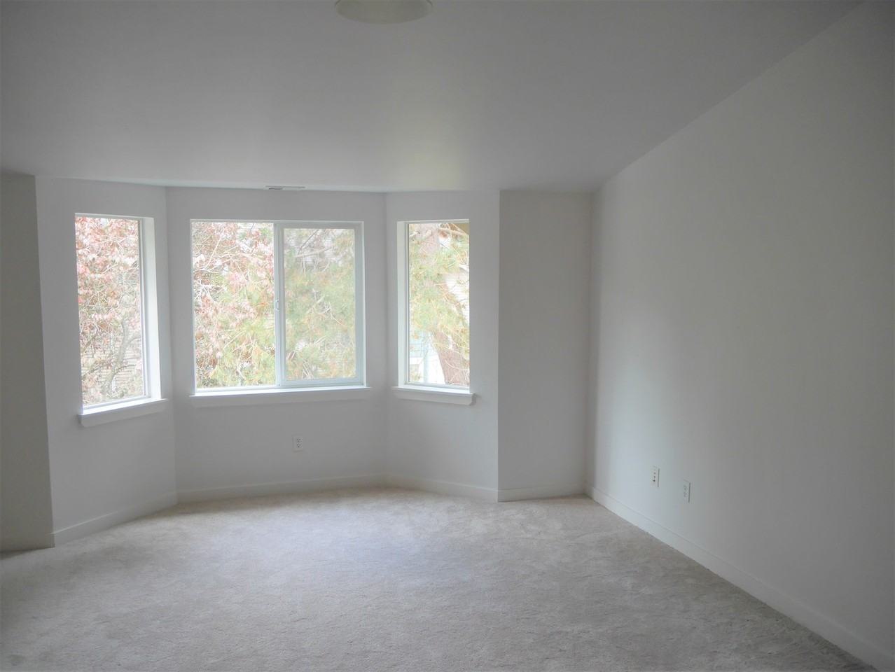 12532 26th Avenue Northeast - Photo 7 of 13