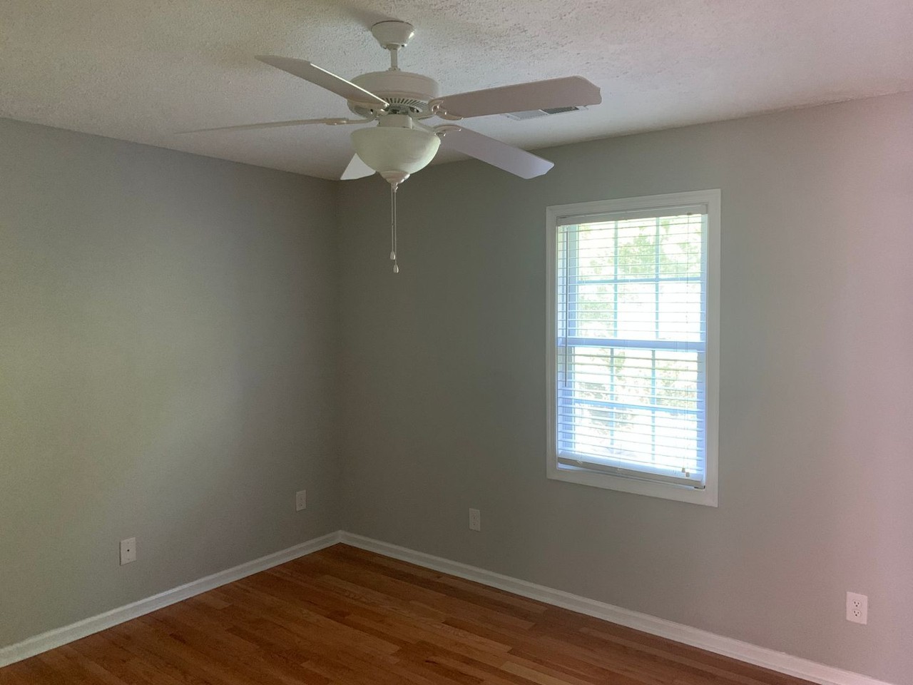 160 Ivy Creek Ln #204 - Photo 4 of 10