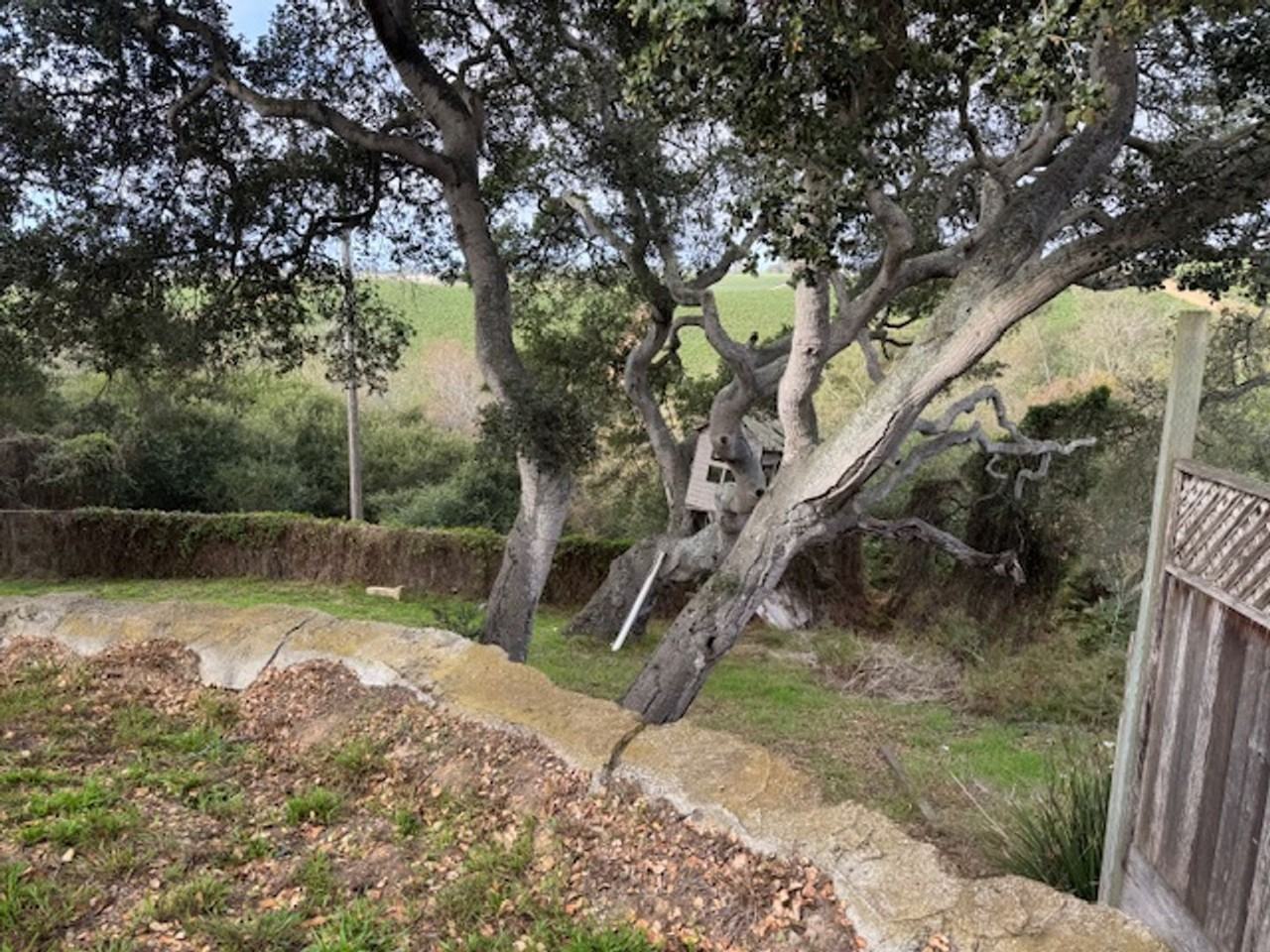 15425 Oak Hills Drive - Photo 2 of 13