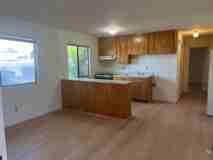 LSSCHF1060 - Photo 1 of 1