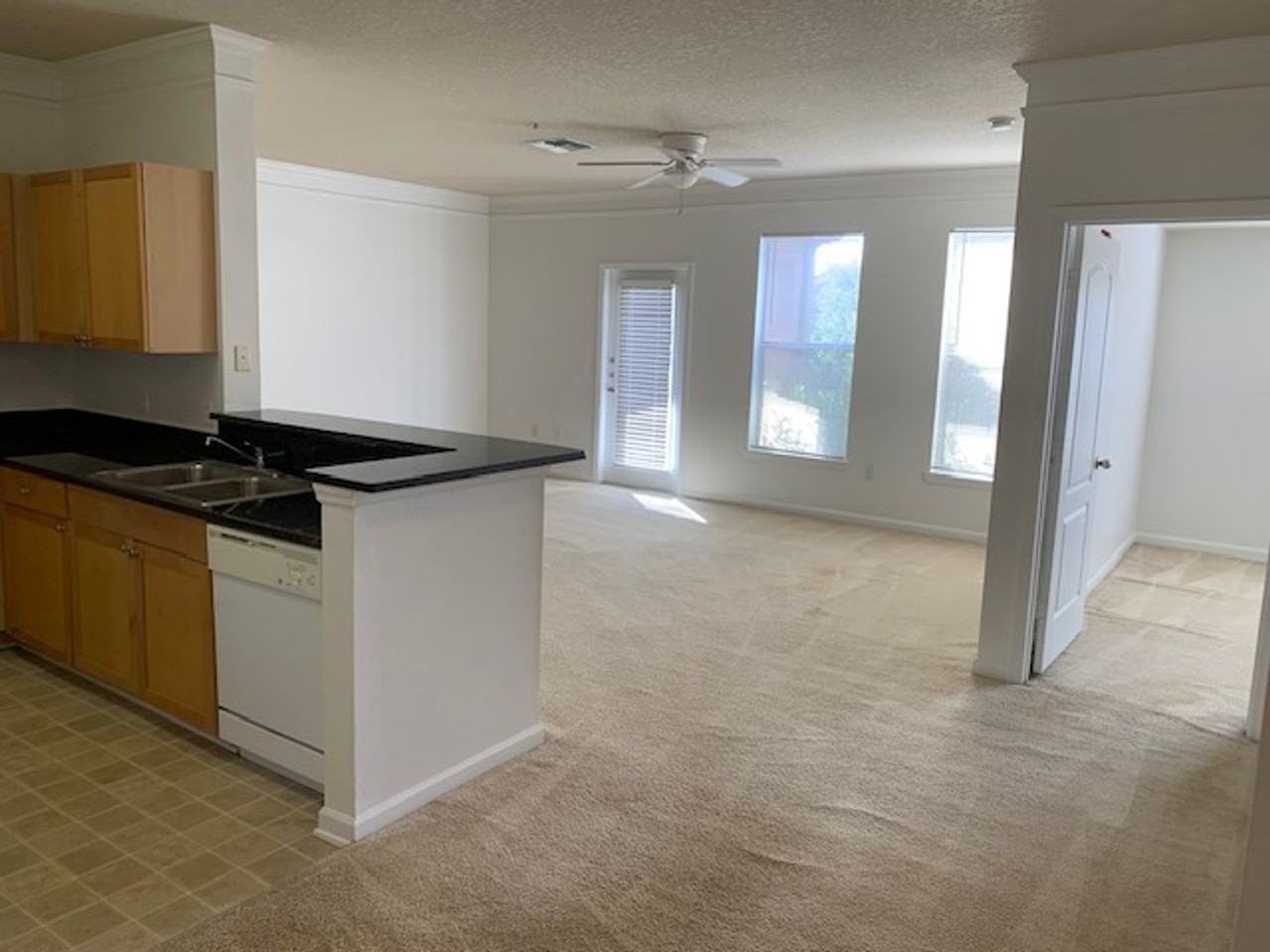 19935 Villa Isle Dr - Photo 5 of 15