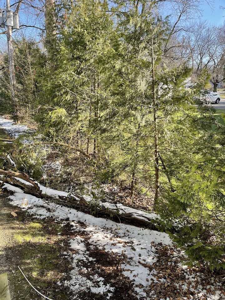 15 South Park Row, Unit 1 - Photo 4 of 14