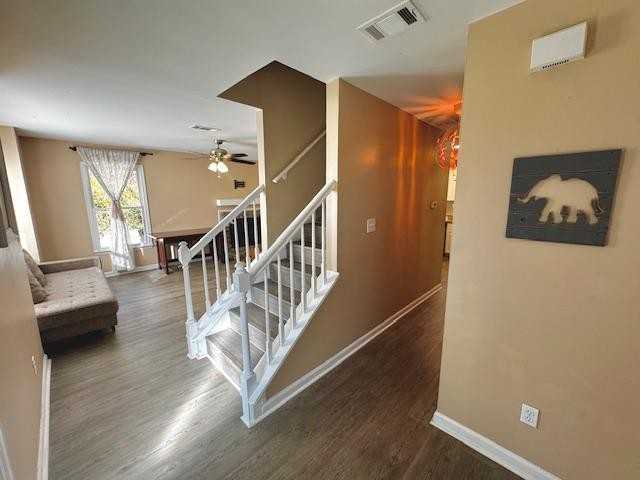 Cinnamon Cir - Photo 4 of 10