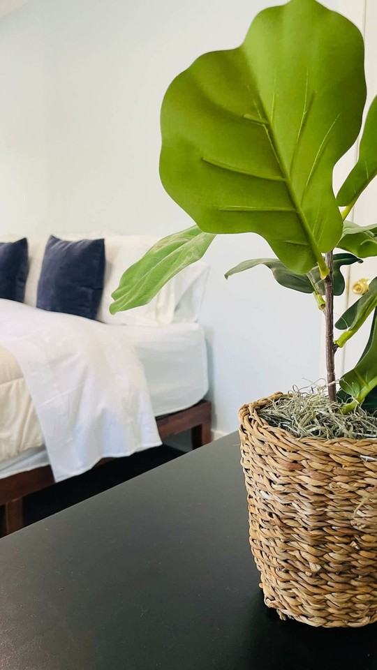 25 Andem St #1347755P - Photo 6 of 38