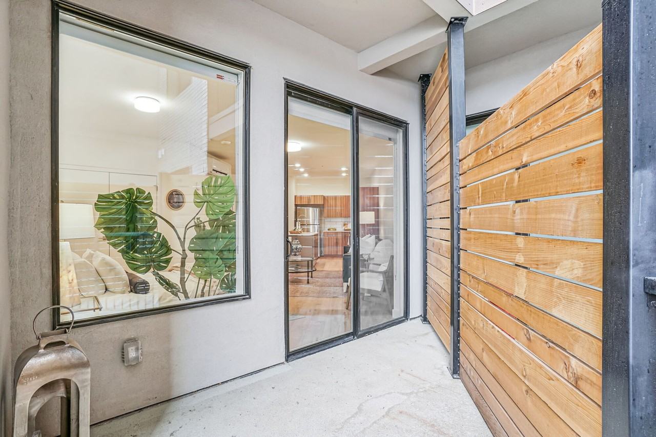 THE VINE - Photo 3 of 44