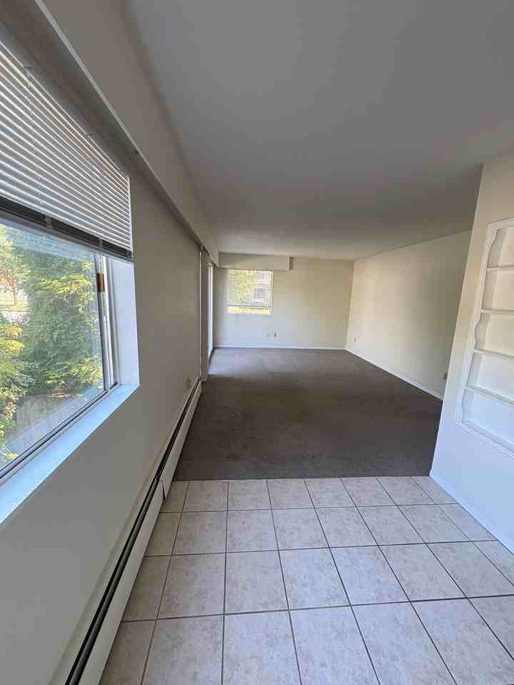 11895 Laity Street - Photo 4 of 18