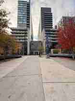 36 Lisgar Street - Photo 1 of 1