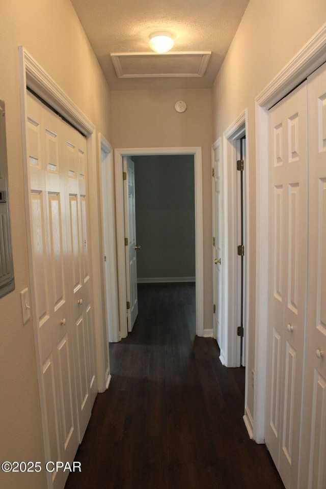 1407 East 14th Street - Photo 5 of 11