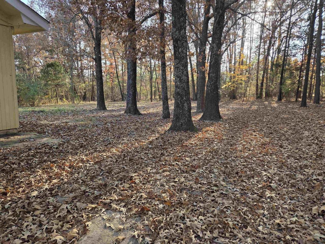 156 Pottawattamie Drive - Photo 4 of 22