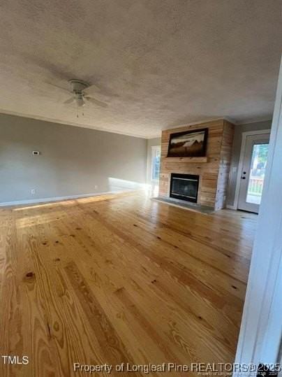 6105 Earp Ct - Photo 3 of 15