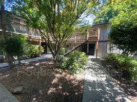 featured image of 7125 Rainier Drive #6