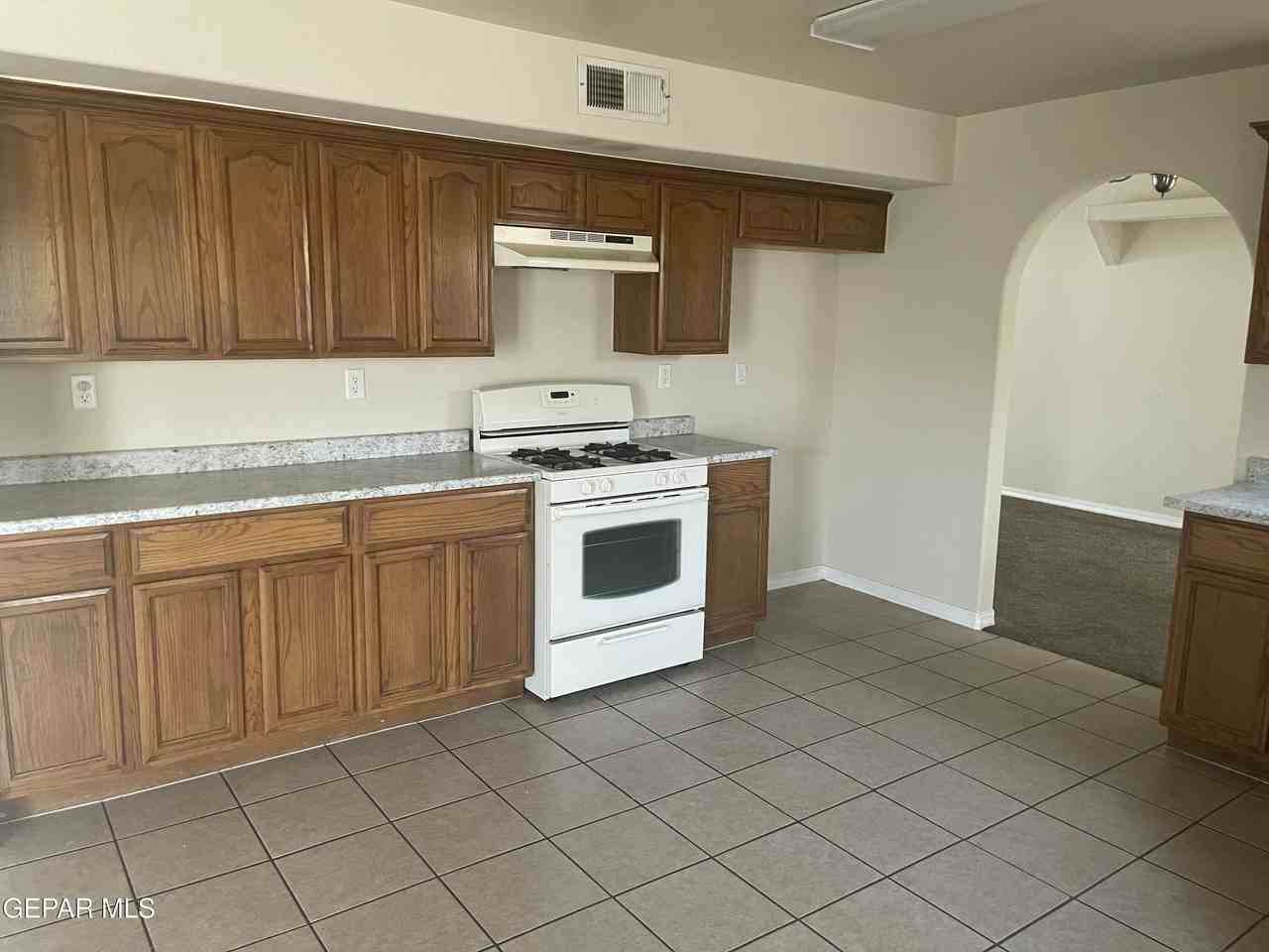 1513 Prickley Pear Dr - Photo 6 of 17