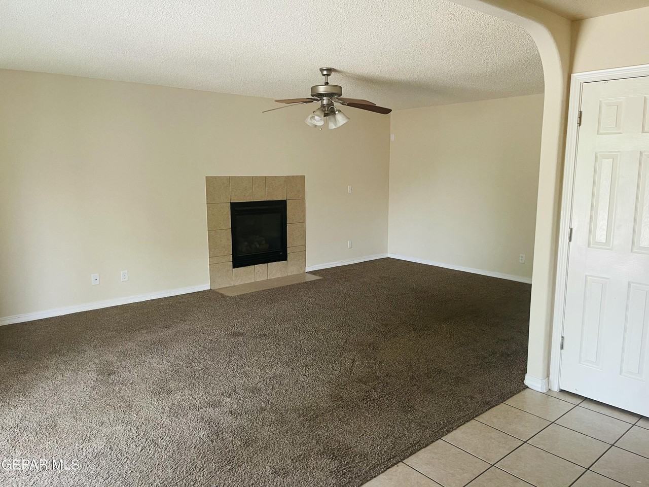 1513 Prickley Pear Dr - Photo 7 of 17