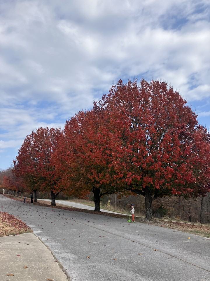 8675 Golf Creek Drive #NA - Photo 2 of 20