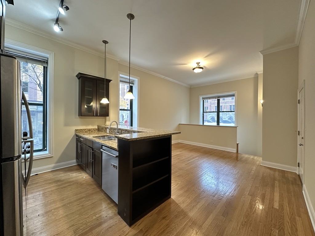 851 North Lasalle Drive #1S - Photo 5 of 21