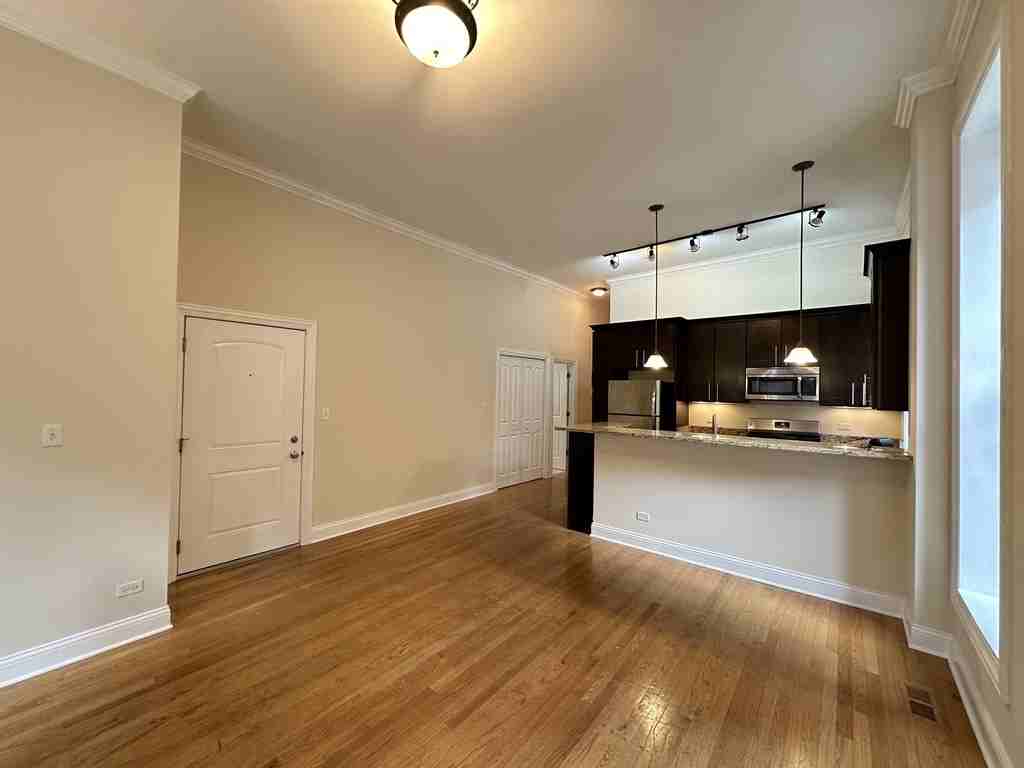 851 North Lasalle Drive #1S - Photo 6 of 21