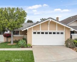 29 Blackswan - Photo 1 of 1