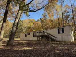 featured image of 5 Maple Lane