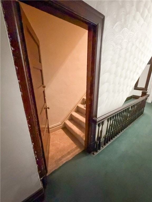 245 S Millvale Ave #3 - Photo 3 of 24