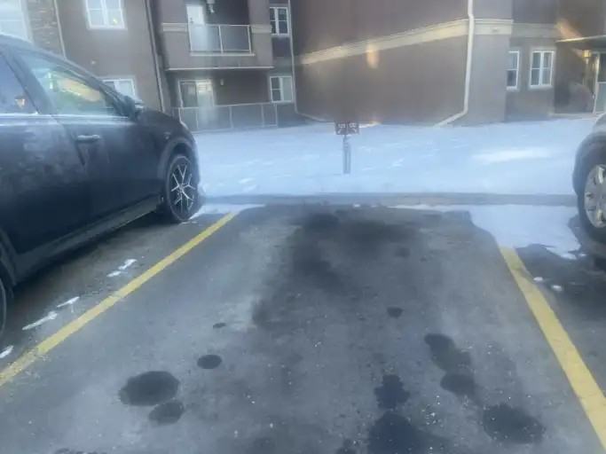 1900 Edenwold Heights NW #1900 - Photo 3 of 21