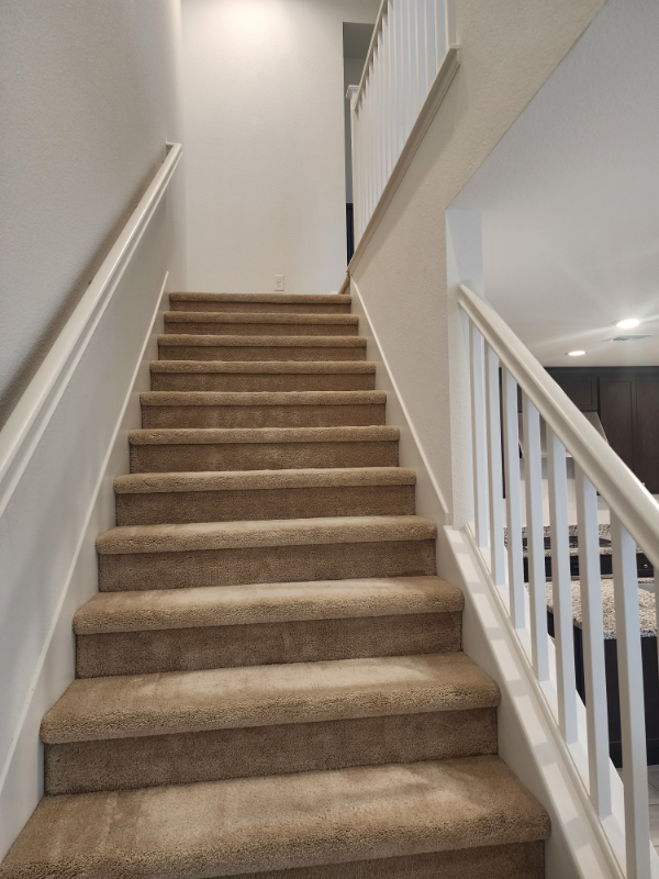 337 Phelps Drive - Photo 3 of 20