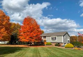 featured image of 501 Pone Lane