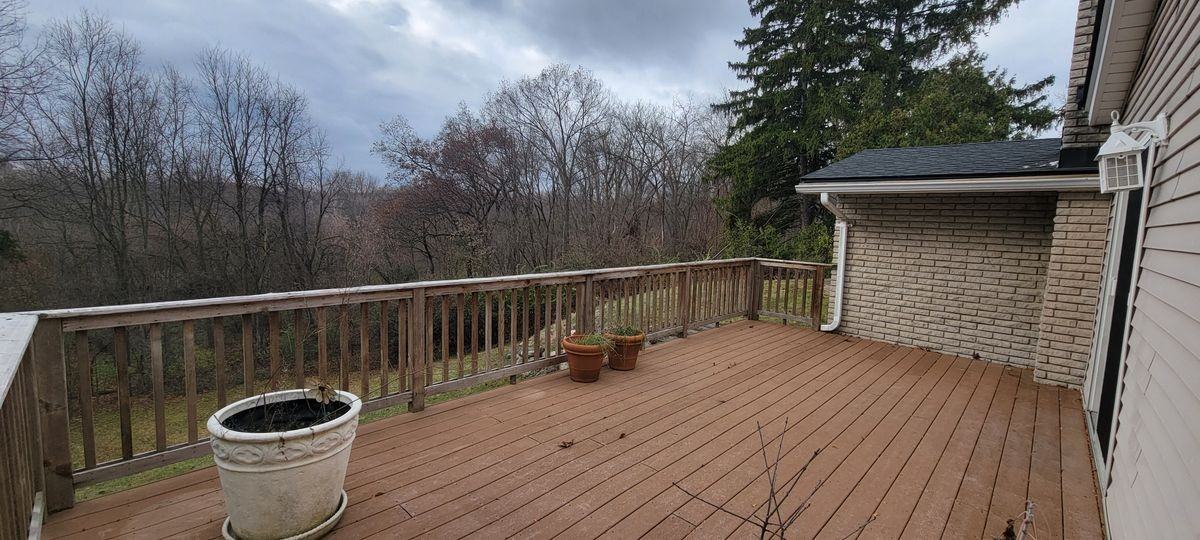 35527 Springvale Street - Photo 7 of 31