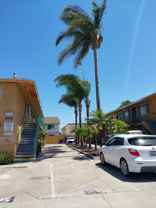 556-560 Casselman #3 - Photo 1 of 1