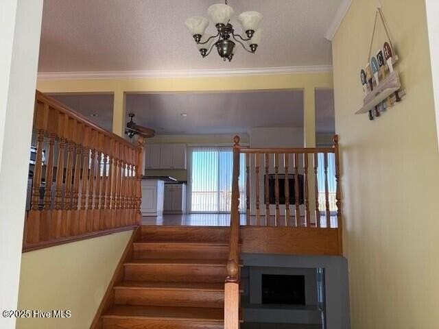 3602 Emerald Dr - Photo 6 of 21