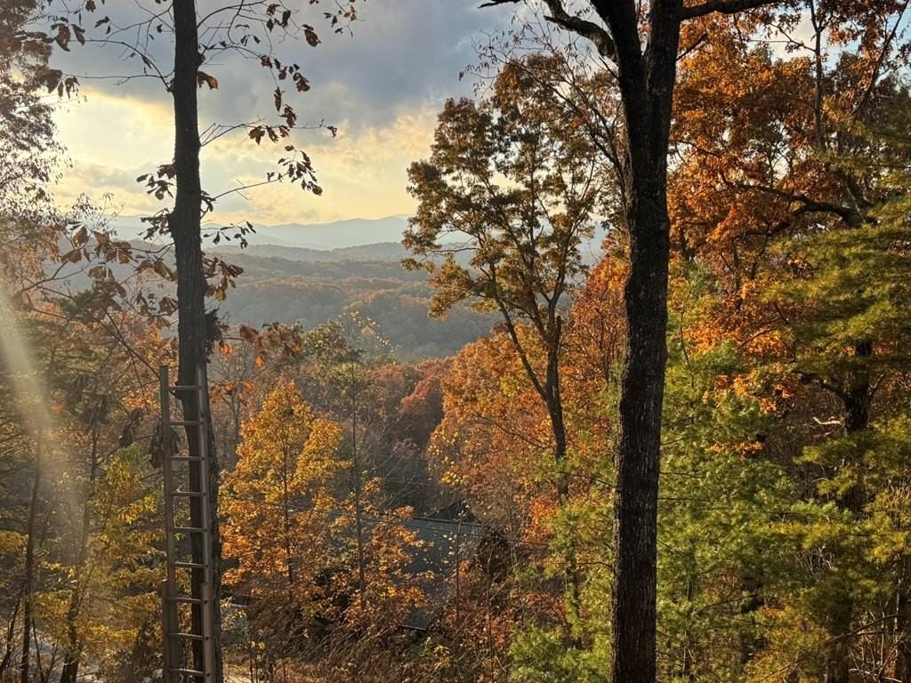 664 Fox Run Dr - Photo 3 of 19