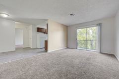 Bossa Nova - Photo 1 of 1